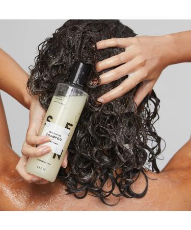 SEEN Fragrance-Free Shampoo 8.6 Fl. Oz - Non-Comedogenic & Sulfate-Free Formula for Sensitive Skin - Dermatologist-Developed for Eczema & Acne Prone Skin - Buy Online on SooperMarket.com
