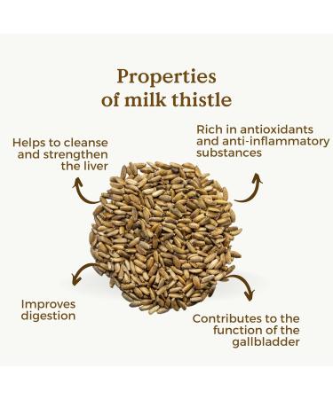 Milk Thistle Tea Organic 200g (100 Cups) | Milk Thistle Seeds Loose Leaf Herbal Tea | Silybum Marianus REPLANTEA - Buy Online on SooperMarket.com