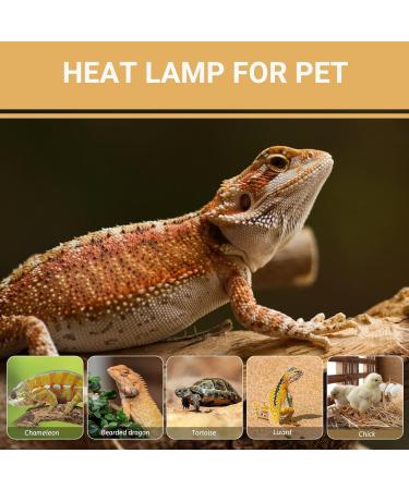 Caldarax 2 Pack Reptile Heat Lamp Bulb 50W E27 Daylight Basking Spot Bulb UV Heat Bulb for Reptiles Tortoise Bearded Dragon Snakes Lizards Chicks 50.0 - Buy Online on SooperMarket.com