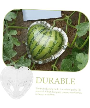 Gadpiparty Plant Vegetables Fruit for Outdoor Vegetable Pumpkin Watermelon - Buy Online on SooperMarket.com