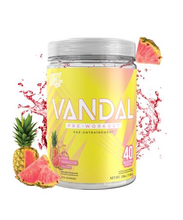 VNDL Pre Workout Powder for Men & Women- Enjoy a Clean Energy Boost with No Sugar Featuring L-Citrulline & L-Tyrosine for Improved Endurance- Nootropic Formula in Pink Paradise Flavor - 40 Servings