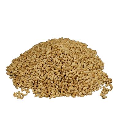 Wheatland Soft White Wheat Berries - Farm Fresh Emergency Food Storage with 25 Year Shelf Life - Non-GMO, Chemical-Free, Premium Quality - Buy Online on SooperMarket.com