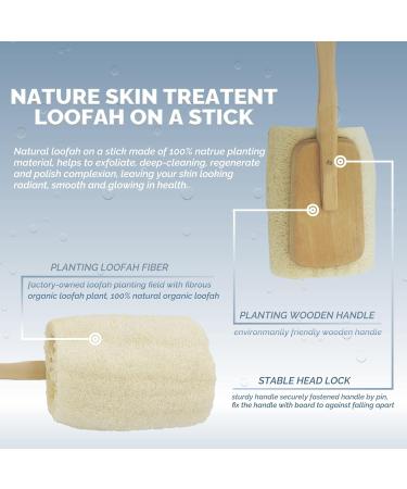 Bleu Bath 2 Pack Exfoliating Loofah Back Brush - 100% Natural Organic Luffa, Long Wooden Handle, for Men, Women, Sensitive Skin - Buy Online on SooperMarket.com