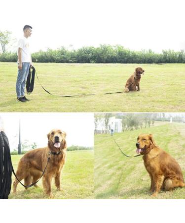Training Leads for Dogs - Nylon Long Training Dog Leash Long Dog Recall Lead Long Line for Dog Tracking Training Long Lead Leash for Pet Recall Obedience with Comfortable Padded Handle (Black 5m/16ft) Black 5m/16ft - Buy Online on SooperMarket.com