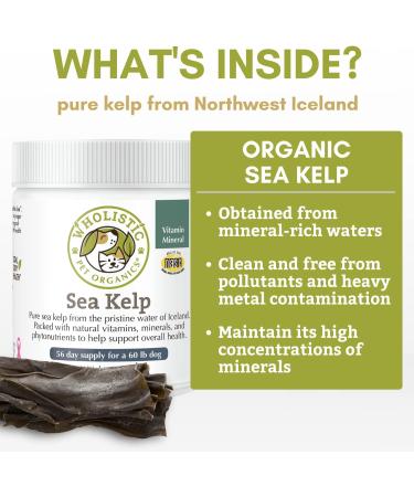 Organic Wholistic Pet Organics Sea Kelp Powder for Dogs - Promotes Healthy Teeth, Thyroid Function, Skin & Coat - Rich in Iodine, Iron, Calcium & Antioxidants - 1 lb - Buy Online on SooperMarket.com