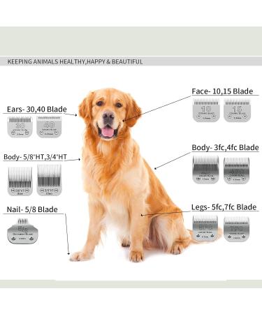 BestBomg Removable Blades for Dog Care - 5/8 Wide Toe Compatible with Heiniger/Moser Max45/Andis/Oster A5 1/32 Cutting Length - Buy Online on SooperMarket.com