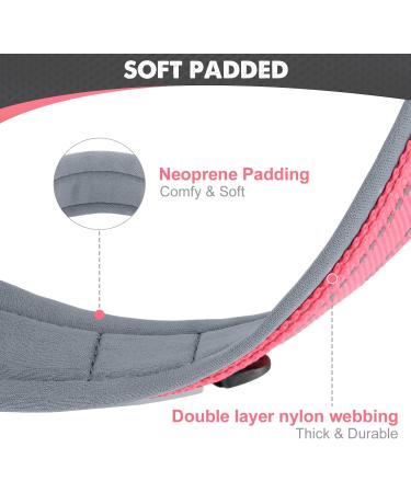 Joytale Softly Padded Neoprene Dog Collar for Small Dogs - Reflective Nylon Pink - 1 Pack - Buy Online on SooperMarket.com