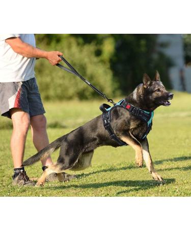POPOT No-Pull Dog Harness - Reflective Pet Vest for Daily Training & Walking - Mint Blue (L) - Buy Online on SooperMarket.com