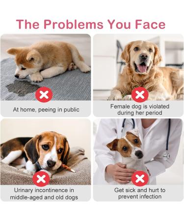 Buy Flying Paws Disposable Dog Diapers - Adjustable XS (20 Pack) for Dogs & Cats Perfect for Potty Training | International Shipping Available - Buy Online on SooperMarket.com