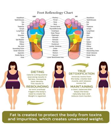 Aprolo Detoxingherbs Cleansing Foot Soak Beads Aprolo Foot Soak Beads Body Detox Foot Soak Beads Herbal Detox&Shaping Cleansing Foot Soak Beads (2 Pack) - Buy Online on SooperMarket.com