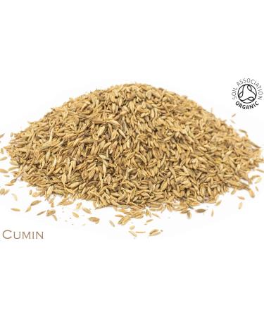 Organic Cumin Seed Pure Herbal Infusion (25 Unbleached Tea Bags - 50g) - Buy Online on SooperMarket.com