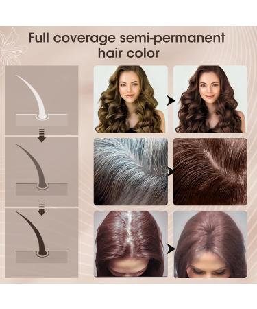 400ml Brown Natural Hair Dye Shampoo - Fast Coloring & Long Lasting Formula for Men and Women - Buy Online on SooperMarket.com