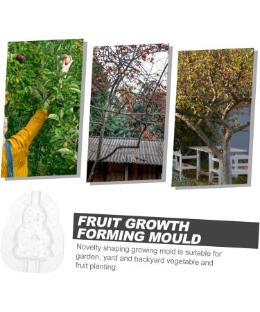 Happyyami Gardening Tool 6 Pcs Vegetable Mold Fruits Shaping Planting Small Mold Shaper Multifunction 9x8cmx2pcs Transparentx2pcs - Buy Online on SooperMarket.com