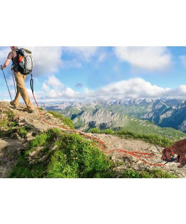 Joytale Reflective Drag Line for Dogs - 5m Padded Leash with 2 Carabiners | Nylon Training Rope for Puppies & Small Dogs - Orange - Buy Online on SooperMarket.com