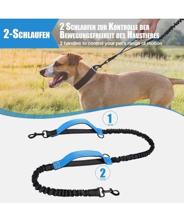 Snocyo Jogging Leash for Dogs | Elastic & Reflective Leash for Medium & Large Dogs | Double Handle & Waist Belt | Black & Blue - Buy Online on SooperMarket.com