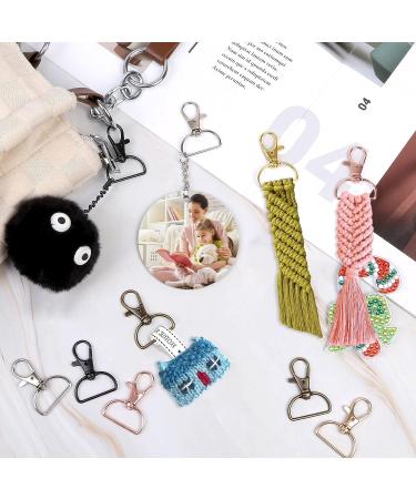 Swivel Clasp Hooks  Anezus 80Pcs Key Chain Clip Hooks  D Ring Clip Lanyard Hardware for Keychain Making  Lanyard Making  Purse Hardware  DIY Craft (3/4 Inside Width) Multicolors 3/4 inch - Buy Online on SooperMarket.com