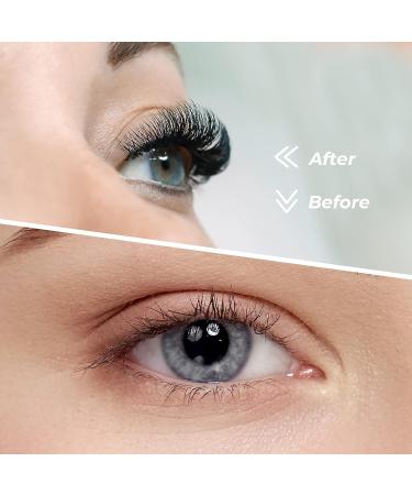 MAEXUS 120 Clusters DIY Eyelash Extensions | C Curl Individual Wispy Lashes | 0.07C 8mm-16mm MIX - Buy Online on SooperMarket.com