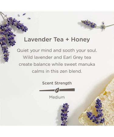 Enviroscent Non-Toxic Plug-in Air Freshener Kit (Lavender Tea + Honey) | Essential Oil Infused | 2-Piece Set - Buy Online on SooperMarket.com