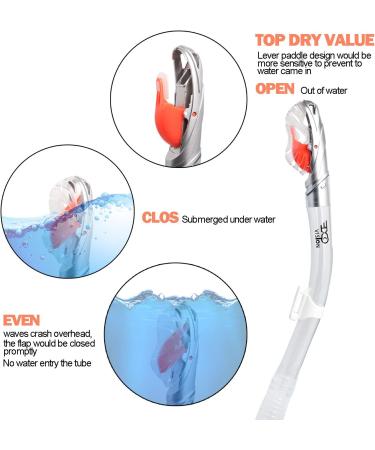 EXP VISION Dry Snorkel - Adult Dive Snorkel with Food-Grade Silicone Mouthpiece and Splash Guard Top Valve - Silver - Buy Online on SooperMarket.com