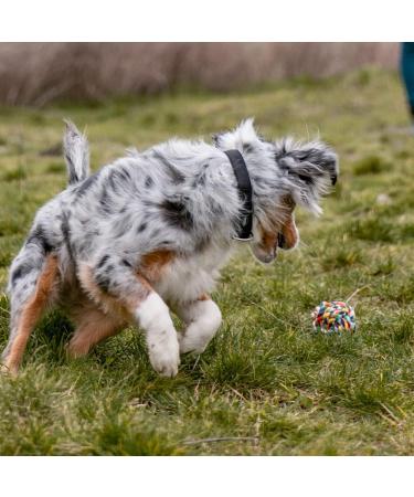 Nobby Colorful Rope Toy Ball 10 cm - Durable & Fun Multicolored Design for Dogs - International Shipping Available - Buy Online on SooperMarket.com