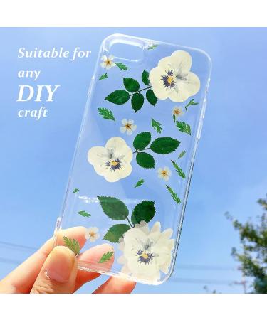Dried White Pansy Flowers - 60 pcs for Resin Art, Jewelry, Candle Making & Crafts - Buy Online on SooperMarket.com