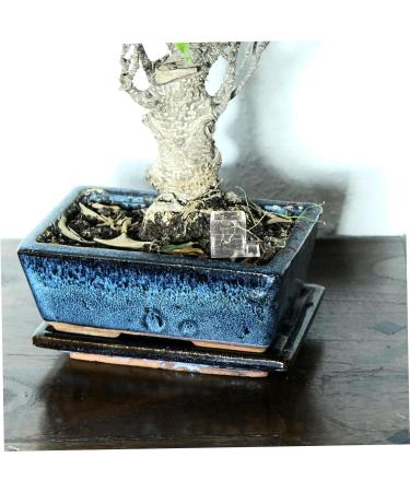 BESPORTBLE 5pcs Pet Water Feeder Ants Water Feeding Bowl Ants Drinking Tool Insect Feeder Ants Feeder Plastic - Buy Online on SooperMarket.com