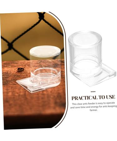 TOGEVAL Pet Water Feeder Ant Watering Station Ant Nest Water Cup Ant Feeding Cup Ant Bottle Feeder Ant Water Feeder Ants Waterer Ant Waterer for Garden Water Feeding Cup for Ant Nest - Buy Online on SooperMarket.com