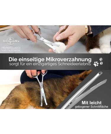 Buy Exclusive 16cm Fur & Paw Scissors - Curved Dog Hair Scissors for Grooming - Buy Online on SooperMarket.com