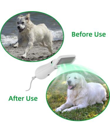LIVEKEY 2-in-1 Pet Hair Dryer & Slicker Brush | Adjustable 2 Temperatures | For Small & Medium Dogs/Cats - Buy Online on SooperMarket.com