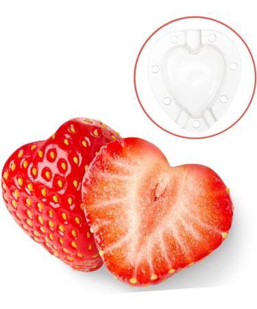 Mipcase 5pcs Fruit Shaping Mold Garden Tool Fruit Protection Cucumber Mold Vegetable Fruit Cucumber White - Buy Online on SooperMarket.com