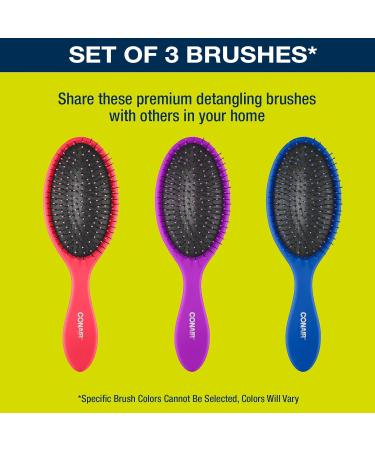 Conair Gently Detangle Hair Brush 3 Count - Flexible Bristles - for Dry and Wet Hair (Color May Vary) - Buy Online on SooperMarket.com