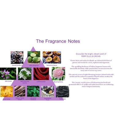 Perry Ellis Fragrances Perry ellis 18 orchid for women - 4-piece gift set 3.4 Fl Ounce 13.4 Fl Oz (Pack of 1) - Buy Online on SooperMarket.com