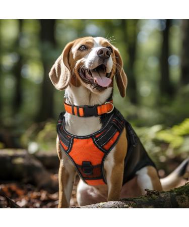 Joytale Reflective Dog Collar for Large Dogs - Orange (Pack of 1) | Durable & Stylish Pet Accessory - Buy Online on SooperMarket.com