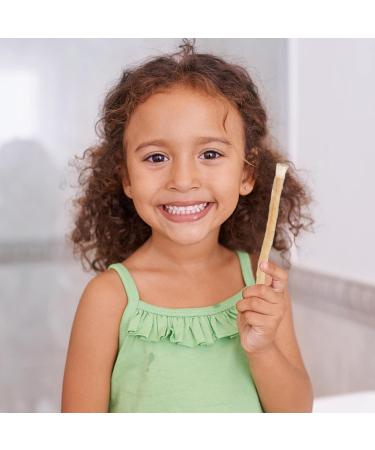 Dranng Stick | Natural Tooth Cleaning Toothbrushes for Humans Effective Traditional Stick from Middle East for Tooth Stain Removal Fresher Breath Healthy Teeth 2 Pcs - Buy Online on SooperMarket.com