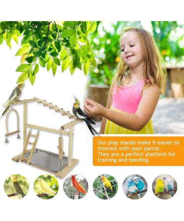 Holzsammlung Bird Playground Wooden Parrot Stand Bird Play Stand Parrot Perch Stand with Ladder Bird Play Gym Toy Cage Accessories for Small Middle Parakeets Cockatiels Finches Budgie Lovebirds #17 - Buy Online on SooperMarket.com