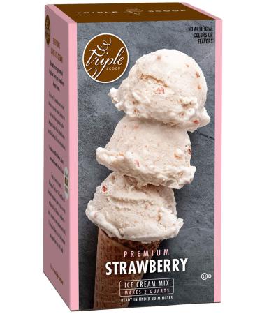 Premium Strawberry Ice Cream Starter Mix for ice cream maker. Simple, easy, delicious. From gourmet mix to maker in 5 minutes. Makes 2 creamy quarts. Made in USA. (1 15oz box) 12.8 Ounce (Pack of 1)