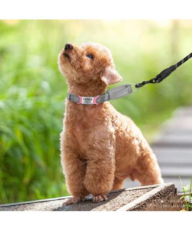 Personalized Pink Dog Tags - 2 Pack Engraved ID for Small & Medium Breeds | Tagme - Buy Online on SooperMarket.com