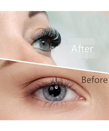 Dassen Easy Fan Volume Lashes 0.07 DD Curl - Mix8-15 | Long Lasting 2D to 10D Blooming Lashes - Buy Online on SooperMarket.com