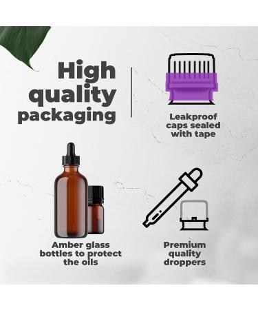 Teakwood and Fern Body Spray 8 ounces Body Mist for Women with Clean Light & Gentle Fragrance Long Lasting Perfume with Comforting Scent for Men & Women Cologne with Soft Subtle Aroma For Daily 8 Fluid Ounces - Buy Online on SooperMarket.com