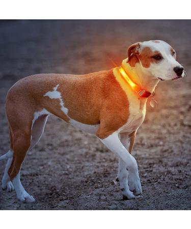 Laroo Safety LED Light Band for Dogs & Cats | Waterproof Easy to Attach Bright Flashing LED for Outdoor Safety | International Shipping - Buy Online on SooperMarket.com