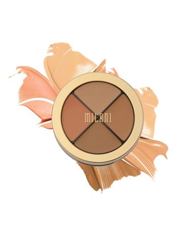 Conceal + Perfect All-in-One Palette - Medium To Dark Medium To Dark 1 Count (Pack of 1)