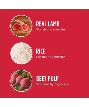 IAMS Proactive Health Minichunks Dog Food Dry Adult Lamb & Rice Recipe 13.6kg (30LB) Bag & Proactive Health Wet Dog Food Adult Lamb & Rice Classic Ground 369g Can (12 Pack) 13.6 kg (Pack of 1) Dog Food + PET_FOOD 439212 - Buy Online on SooperMarket.com