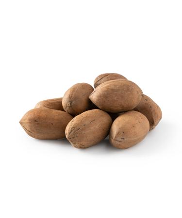 NUTS U.S. - Pecans In shell | Whole, Raw and Unsalted | No Added Flavor or Color | Fresh Buttery Taste and Easy to Crack | Natural Unshelled Pecans Packed in Resealable Bags!!! (1 LB) 1 Pound (Pack of 1)