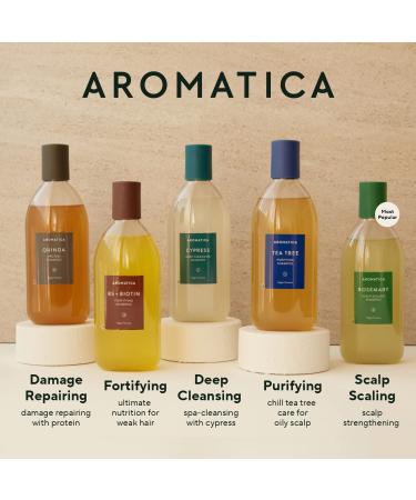 AROMATICA Rosemary Scalp Scaling Shampoo & Conditioner Gift Set - 400ml | Vegan Hair Care with Rosemary Oil for Dry, Itchy Scalp - Buy Online on SooperMarket.com