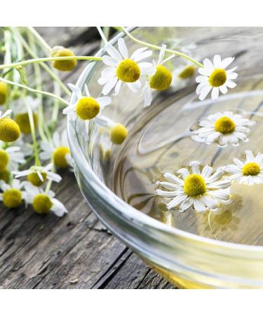 Buy Dried Chamomile Flowers 500g | 100% Natural Whole Chamomile | Mild & Slightly Bitter Taste | Camile Tea | Achterhof Quality - Buy Online on SooperMarket.com
