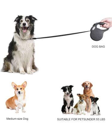 Dog Lead Retractable 5M Extendable Dog/Pet Leads/Leash with Waste Bag Dispenser and Poop Bags Extendable Tape Lead Belt for Dogs Pets Puppy up to 50KG/5m (110 lbs/16ft) 50kg-with waste bag Dispenser - Buy Online on SooperMarket.com