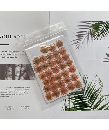 100pcs Ammi Majus Natural Pressed Dried Flowers for Resin, Soap & Candle Making (Orange) - Buy Online on SooperMarket.com