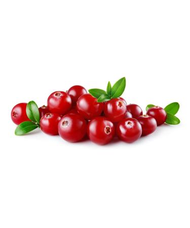 Buy 100% Natural Cranberry Powder 200g | Wild Collection Fruit Powder | Premium Quality Superfood - Buy Online on SooperMarket.com