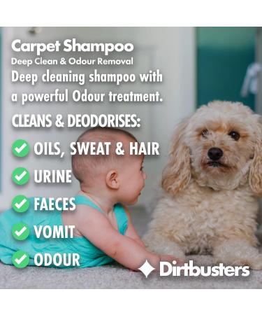 Dirtbusters 5L Carpet Cleaner Shampoo Solution - Stain Remover & Odor Treatment - Orange Fresh Scent - Buy Online on SooperMarket.com