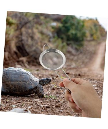 GANAZONO 6 Pcs Reptile Sand Shovel Reptichip Strainers Fine Mesh Pet Poo Shovel Silver Stainless Steel 20X7X3CMx3pcs Silverx3pcs - Buy Online on SooperMarket.com